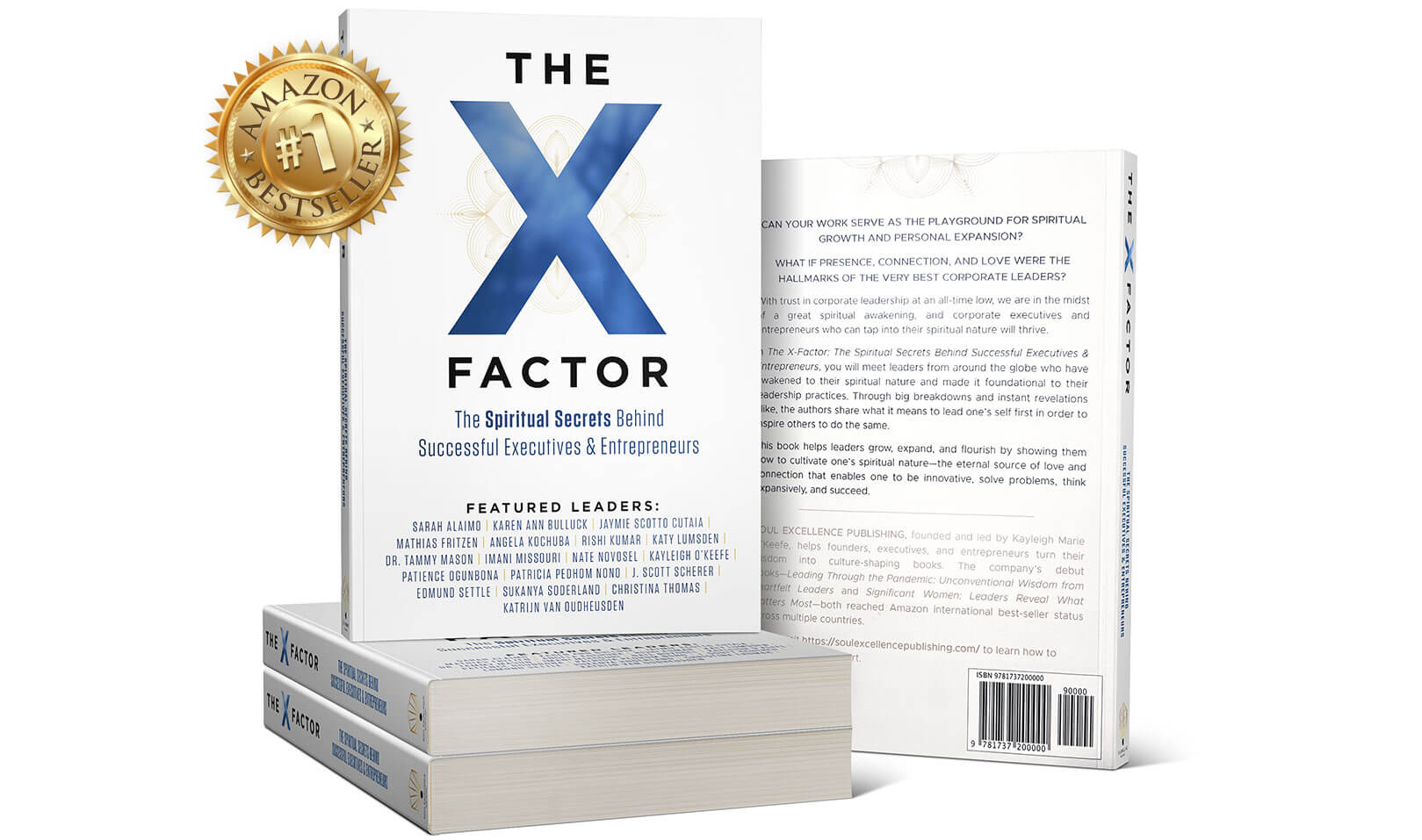 The X-Factor: The Spiritual Success Behind Successful Executives & Entrepreneurs - Mathias Fritzen